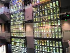 -广东中医药博物馆