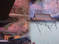 -天台山景区