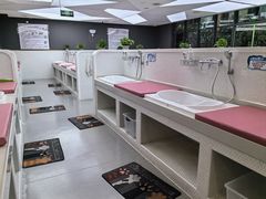 -沥鲨亲子游泳俱乐部(金沙洲中心)