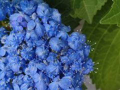 -宝岩生态观光园