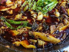 -都江堰石锅鱼