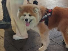 -大悦城(沈阳中街店)