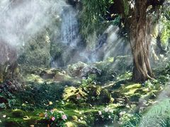 -Chom Cafe and Restaurant