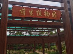 -广东茂名森林公园