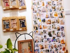 -小尾巴宠物店(万科·金域华庭店)