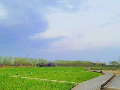 -永定河休闲森林公园