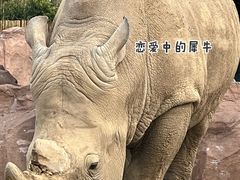-武汉动物园