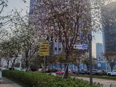 -深圳人才公园