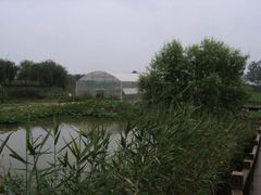 -泗洪洪泽湖湿地景区
