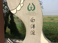 -白洋淀景区
