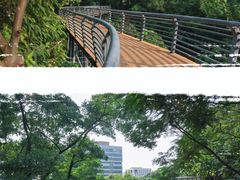 -玉树公园