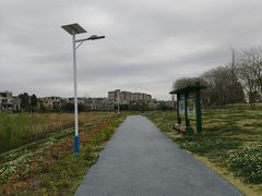 -两河城市森林公园