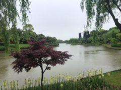-上海鲜花港