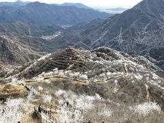 -大岭沟猕猴桃谷风景区