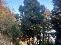 -南岳衡山风景名胜区