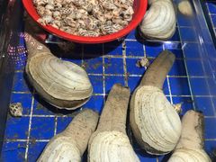 -三亚新鸿港水果一级批发市场