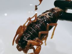 -珍味汤馆·潮汕家乡菜(保利文化广场店)