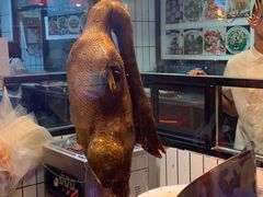 -日日香卤鹅饭店·澄海狮头鹅(澄海店)