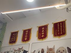 -爱侣宠医·鹦鹉专科·小型哺乳类·异宠专科(灵石路店)