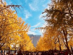 -辽宁大学(崇山校区)