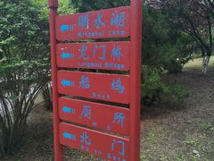 -百脉泉景区