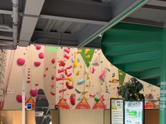 -绿壁虎攀岩基地(Tcar店)