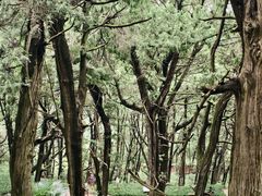 -七曲山风景区