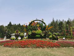 -东平国家森林公园