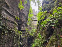 -梭布垭石林景区