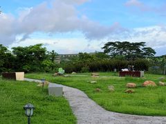-福田红树林生态公园