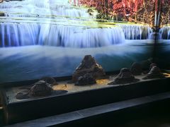 -大桶大足浴(宝山店)