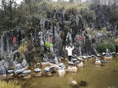 -千岛湖石林
