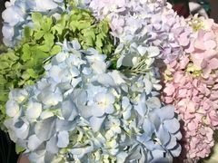 -上海汾阳花园酒店