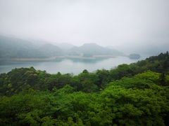 -酒仙湖景区