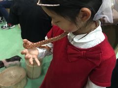 -藦茜花园宠物主题亲子互动体验馆(国顺东路店)
