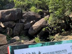 -广州白江湖森林公园