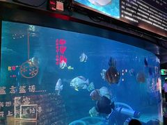 -烟台海昌鲸鲨海洋公园