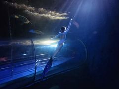 -太平洋海底世界