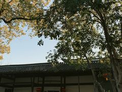 -绍兴鲁迅故里·沈园景区