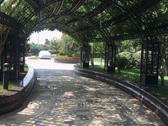 -青岛鑫江温德姆酒店