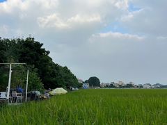 -崖口煲仔饭