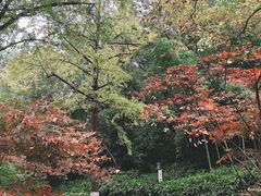 -南山风景名胜区