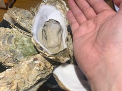 -烧蠔帮·湛江生蚝(工农店)