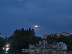 -上海野生动物园