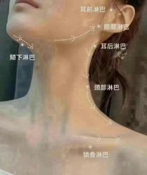 -天姿美容·美体科技SPA·艾姿美店
