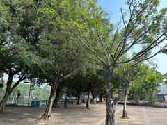 -观澜湖生态运动公社