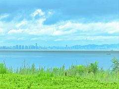 -养马岛旅游度假区