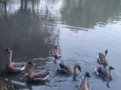 -西安浐灞国家湿地公园