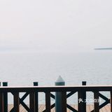 观光车，自行车都在运营 儿童游乐场，沙滩全部关闭