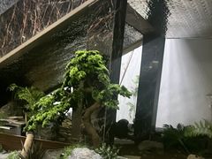 -豫满楼(郑东新区店)